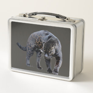 Jaguar Diablo grey stainless lunchbox