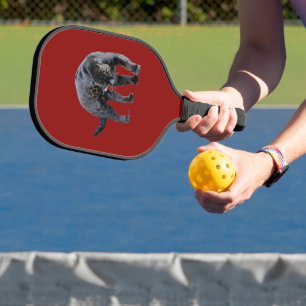 Jaguar Diablo red pickleball paddle carbon
