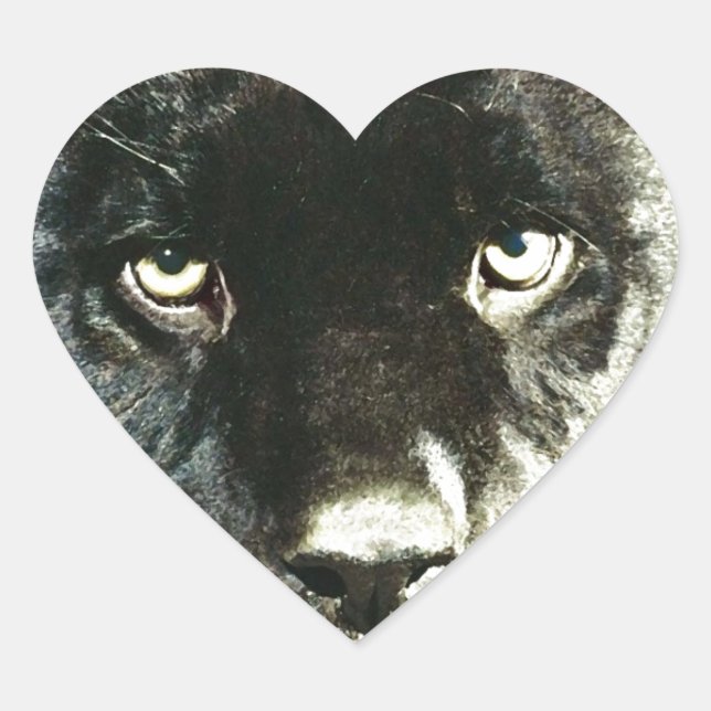 Jaguar Eyes Heart Sticker (Front)