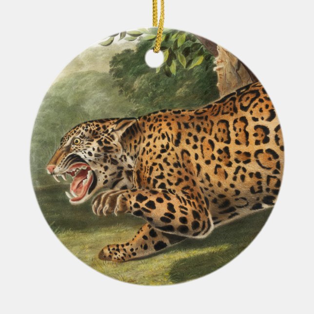 Jaguar (Felis onca) Illustration Ceramic Ornament (Front)