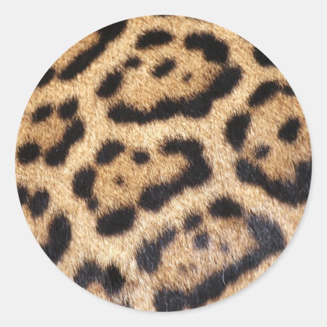 Jaguar Fur Photo Print Classic Round Sticker (Front)