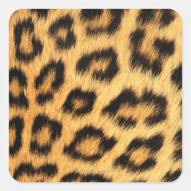 Jaguar Fur Square Sticker (Front)