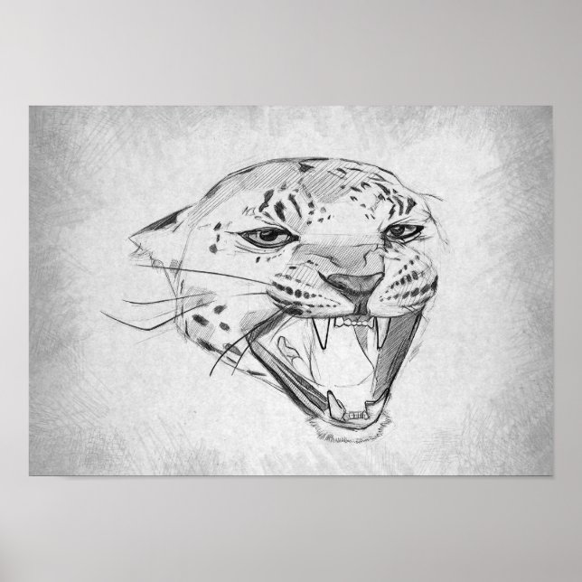 Jaguar - Graphic Drawing Poster (Front)