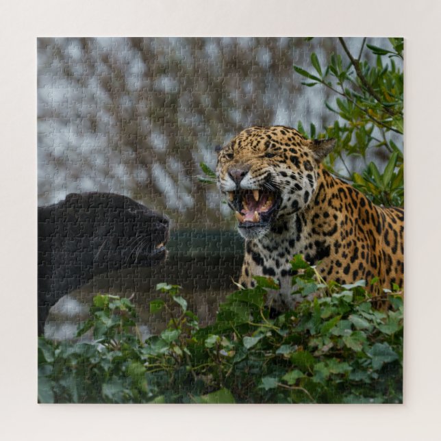 Jaguar Growl Jigsaw Puzzle (Vertical)