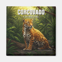 Jaguar in Corcovado National Park Costa Rica