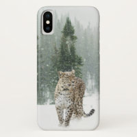Jaguar in the Snow