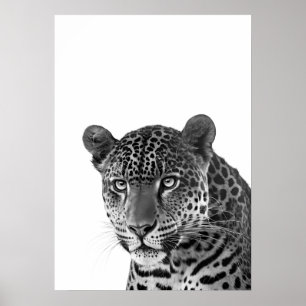 Jaguar Jungle Modern Portrait black white Poster