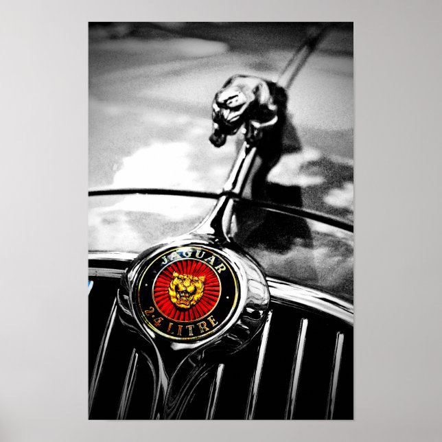 Jaguar Leaper Leaping Cat Poster (Front)