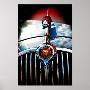 Jaguar Leaper Leaping Cat Poster