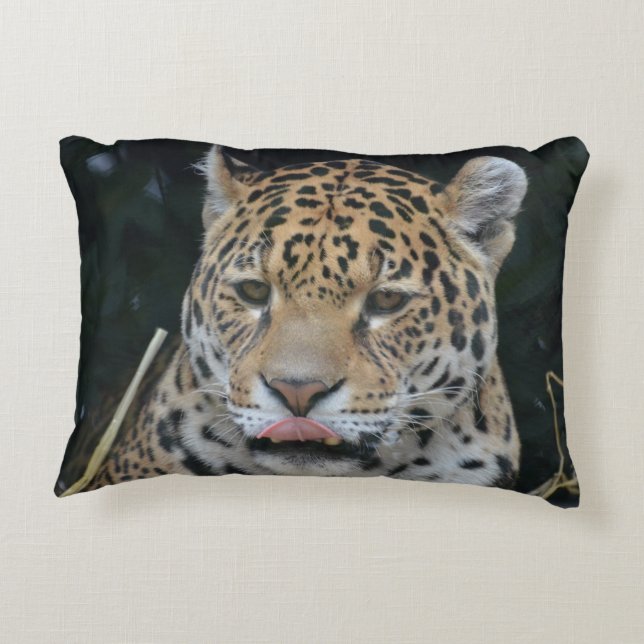 Jaguar Licking His Lips Decorative Cushion (Back)