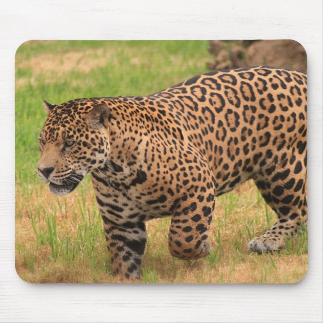 Jaguar Mouse Pad (Front)