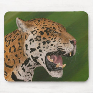 Jaguar Mouse Pad