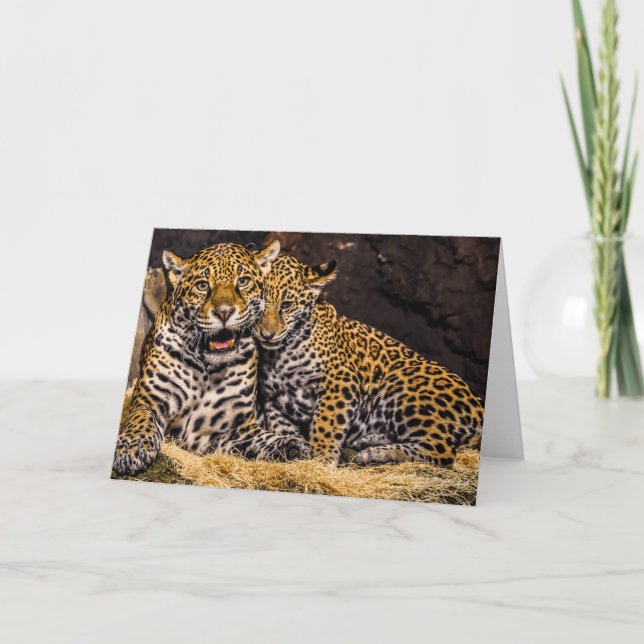 Jaguar Mum & Cub Greeting Card (Front)