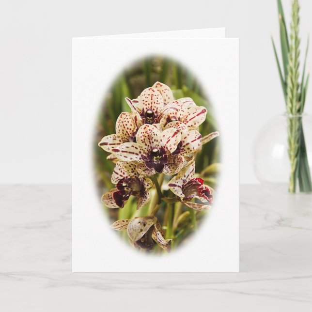 Jaguar Orchid greeting card (Front)