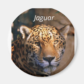Jaguar photo magnet