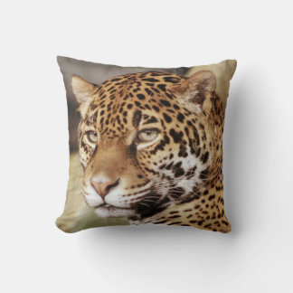 Jaguar Pillow