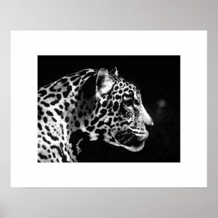 Jaguar Pop Art Poster Print - Jaguar Posters