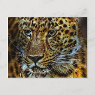 Jaguar Postcard
