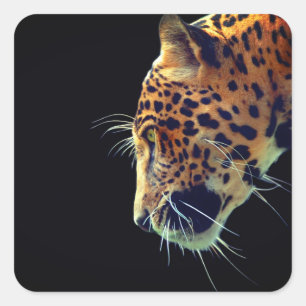 Jaguar Square Sticker