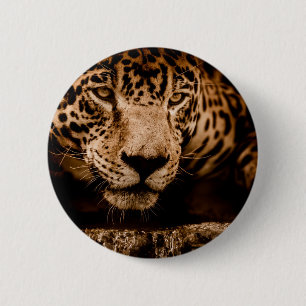 jaguar water stalking eyes 6 cm round badge