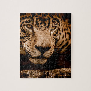 jaguar water stalking eyes jigsaw puzzle