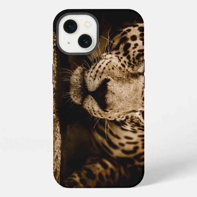 Jaguar, wild cat, feline iPhone case (Back)