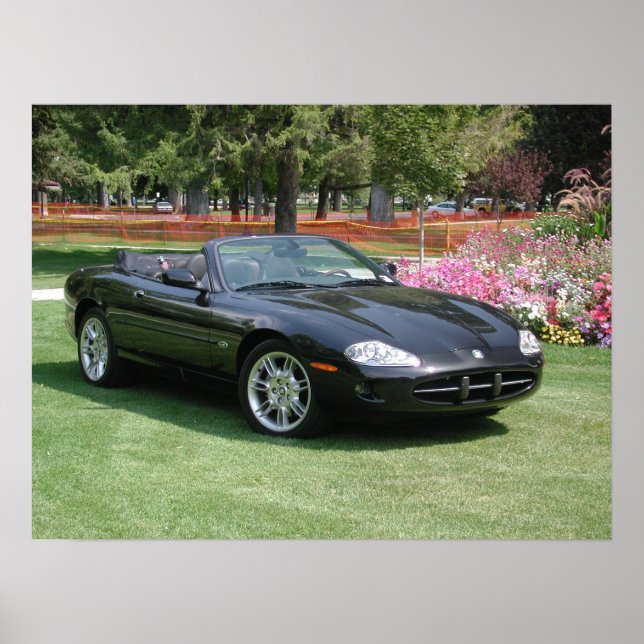Jaguar XK8 Convertible Poster (Front)