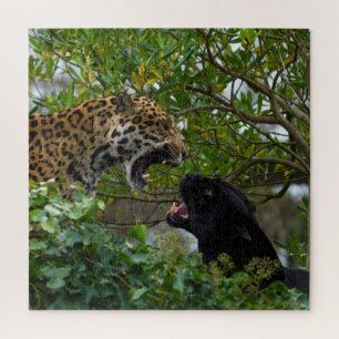 Jaguars In Love Jigsaw Puzzle