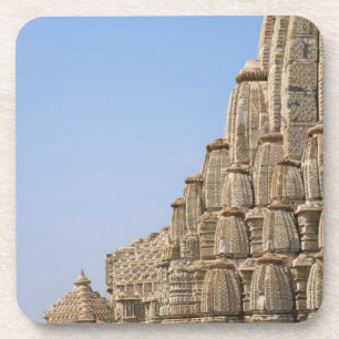 Jain temple in Chittorgarh Fort, India Coaster