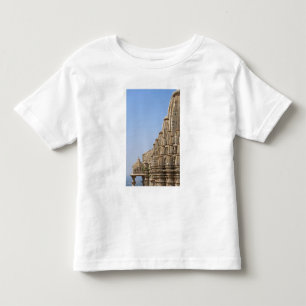Jain temple in Chittorgarh Fort, India Toddler T-Shirt