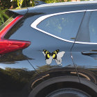 Jamaica Butterfly Shadow Monogram