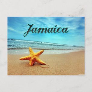 Jamaica starfish postcard