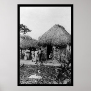 Jamaica Tobacco Plantation 1896 Poster