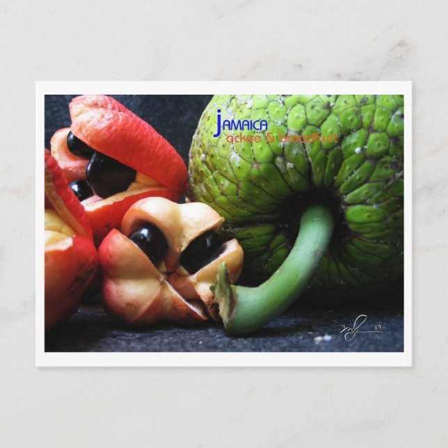 Jamaican Ackee Fruit and Breadfruit Postcard (Front)