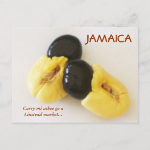 Jamaican Ackee Postcard