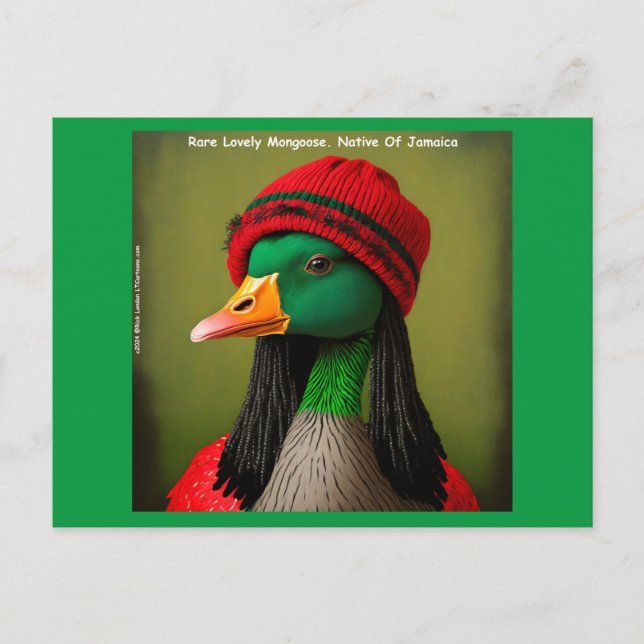 Jamaican Flying Reggae Mongoose Goose Funny Postcard (Front)