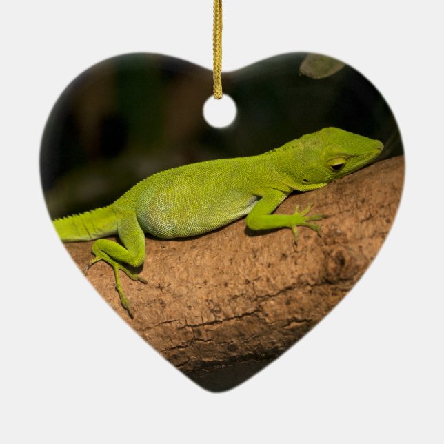 Jamaican giant anole ceramic tree decoration (Back)