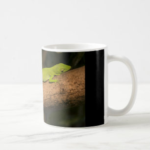 Jamaican giant anole coffee mug