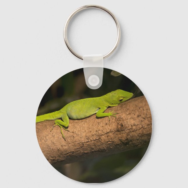Jamaican giant anole key ring (Front)