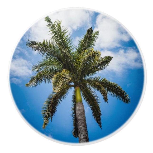 Jamaican Palm Tree Ceramic Knob (Front)