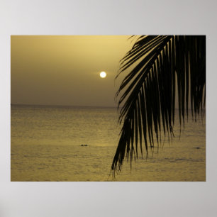 Jamaican Sunset Poster