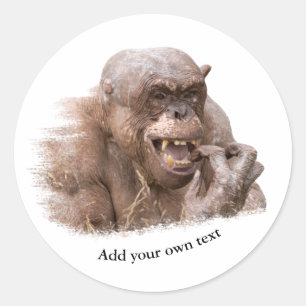 Jambo The Hairless Chimp (change to your own text) Classic Round Sticker