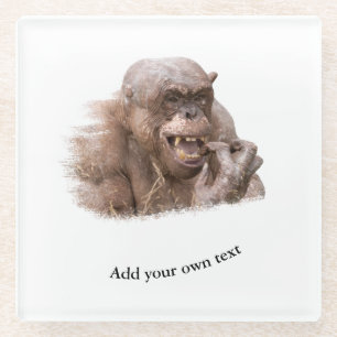 Jambo The Hairless Chimp (change to your own text) Glass Coaster