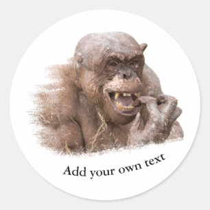 Jambo the hairless Chimpanzee Classic Round Sticke Sticker