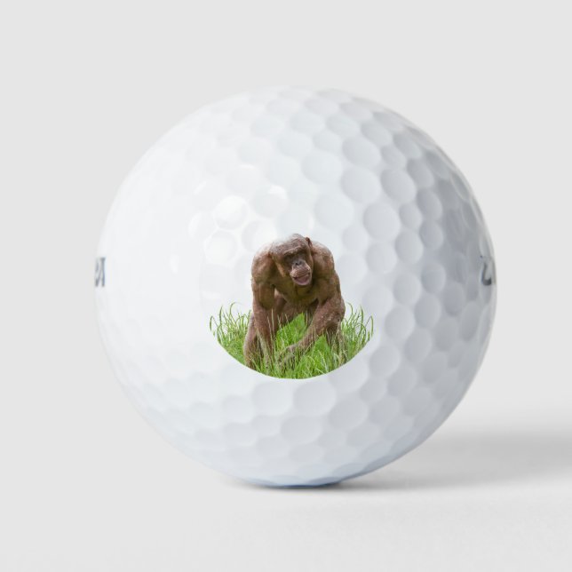 Jambo The Unique Hairless Chimp Golf Balls (Front)