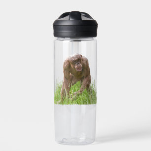 Jambo The Unique Hairless Chimp Water Bottle