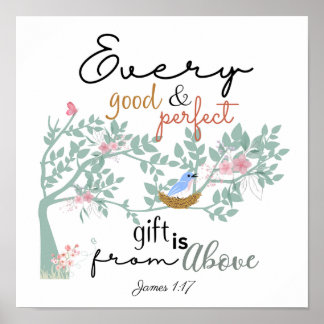 James 1:17 Every Good and Perfect Gift Poster