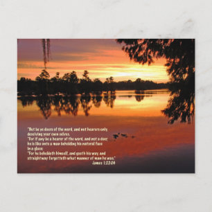 James 1:22-24 Scripture Postcard
