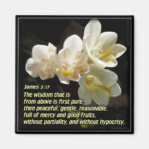 James 3v17 - Heavenly Wisdom 2 Magnet