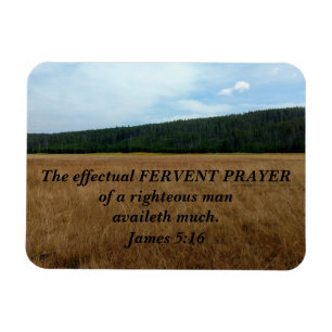James 5:16 The effectual fervent prayer of a Magnet